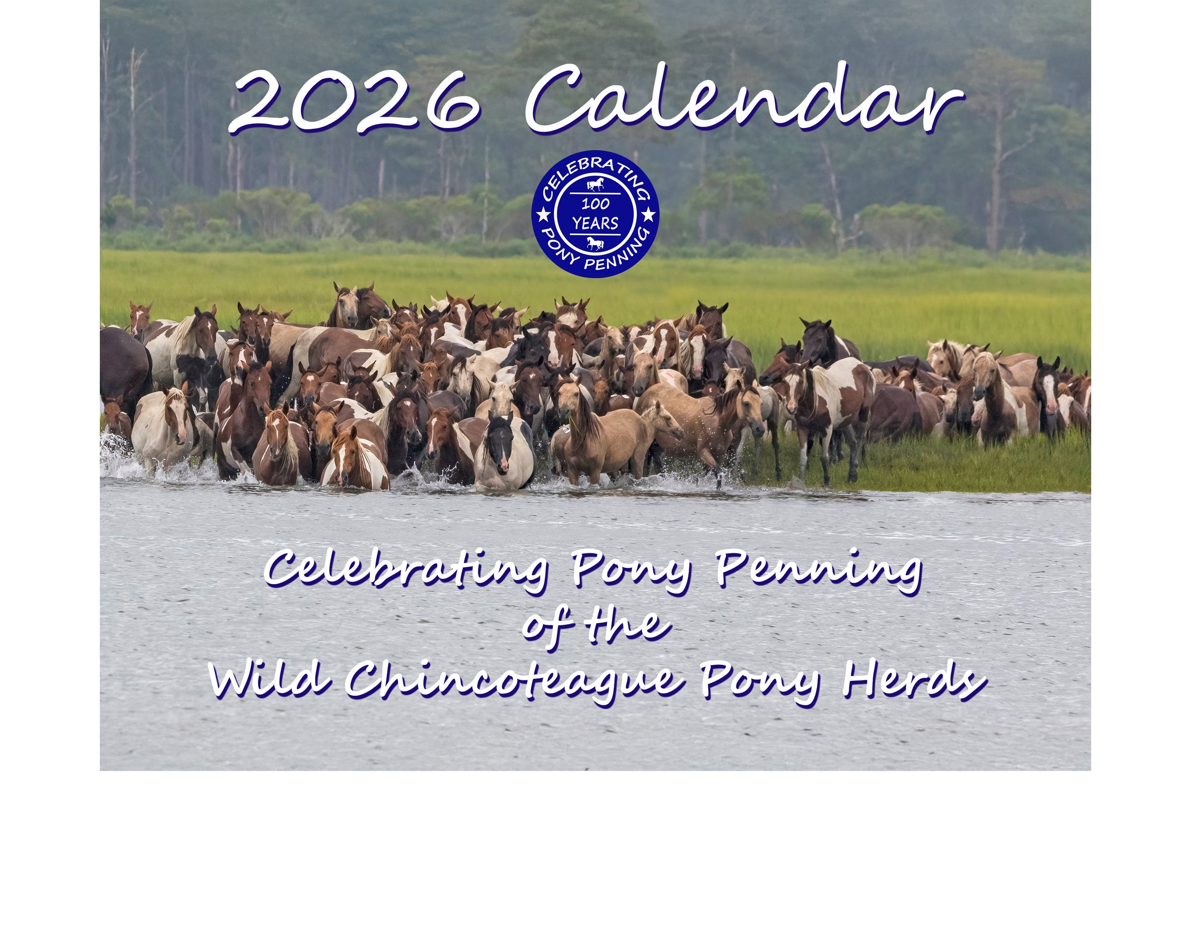 2026 Calendar Wild Ponies of Chincoteague DSC Photography