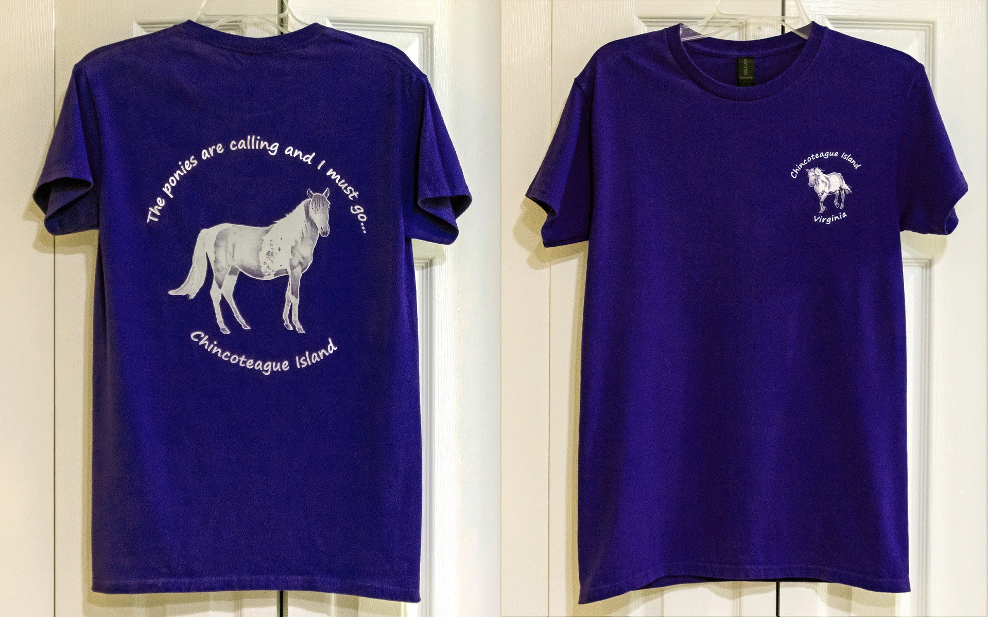 CI Oval - Adult T-shirt | DSC Photography