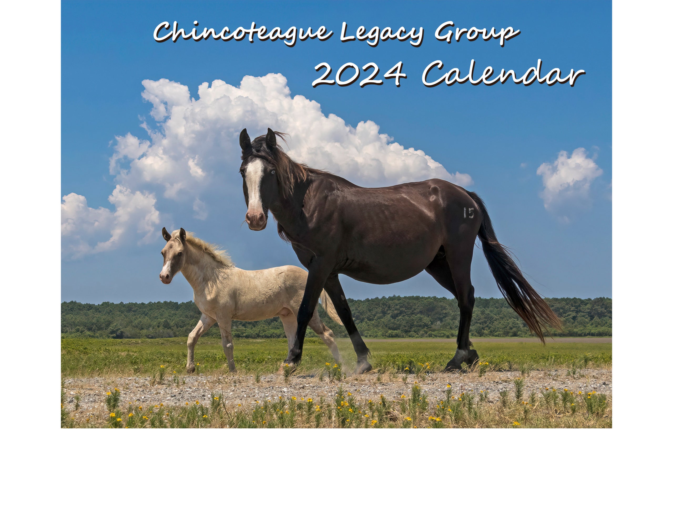 Chincoteague Calendar Of Events 2024 2025 Sande Cordelia Chincoteague Calendar Of Events 2024 2025 Sande Cordelia
