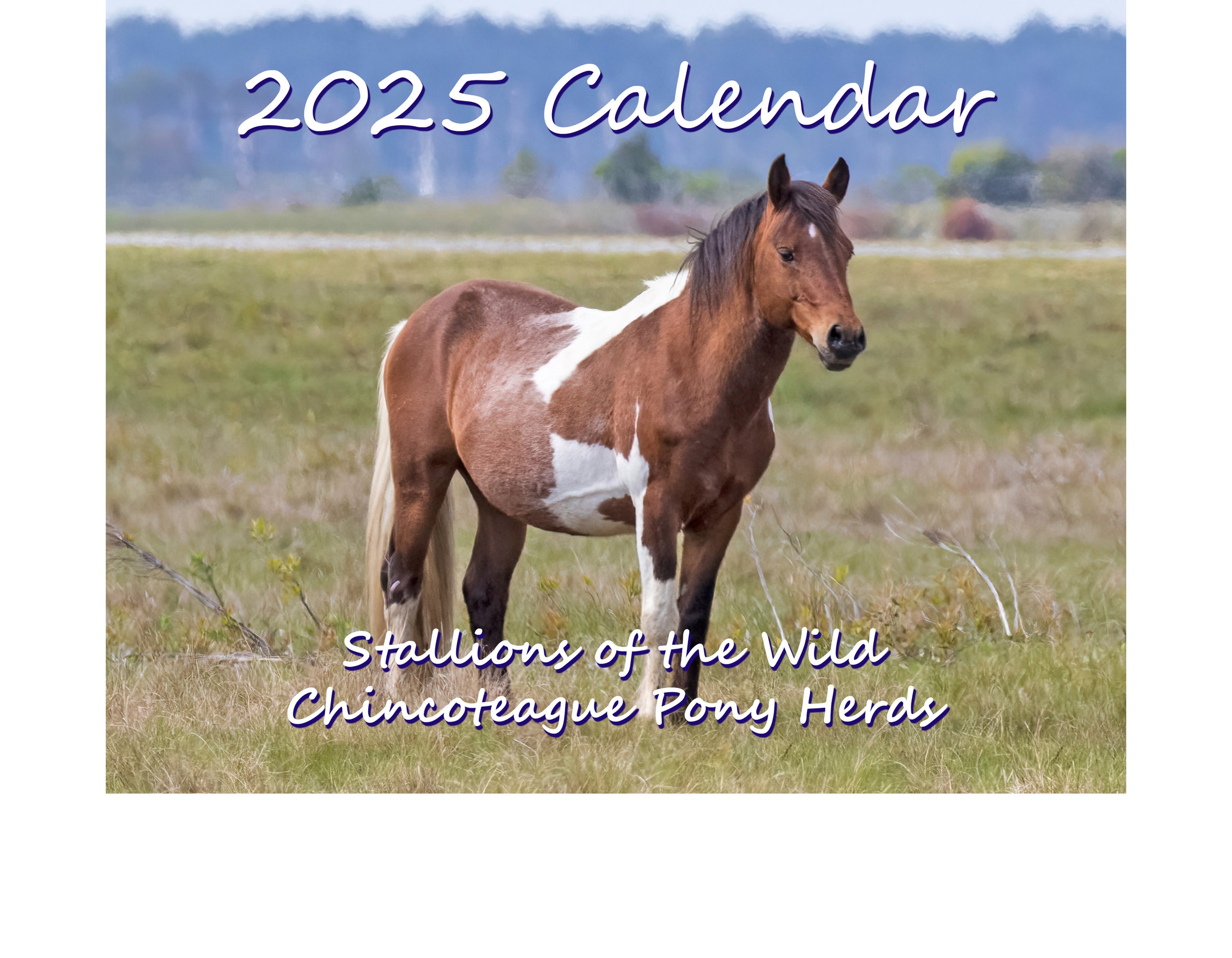 2025 Calendar Stallions of the Wild Chincoteague Pony Herds DSC Photography