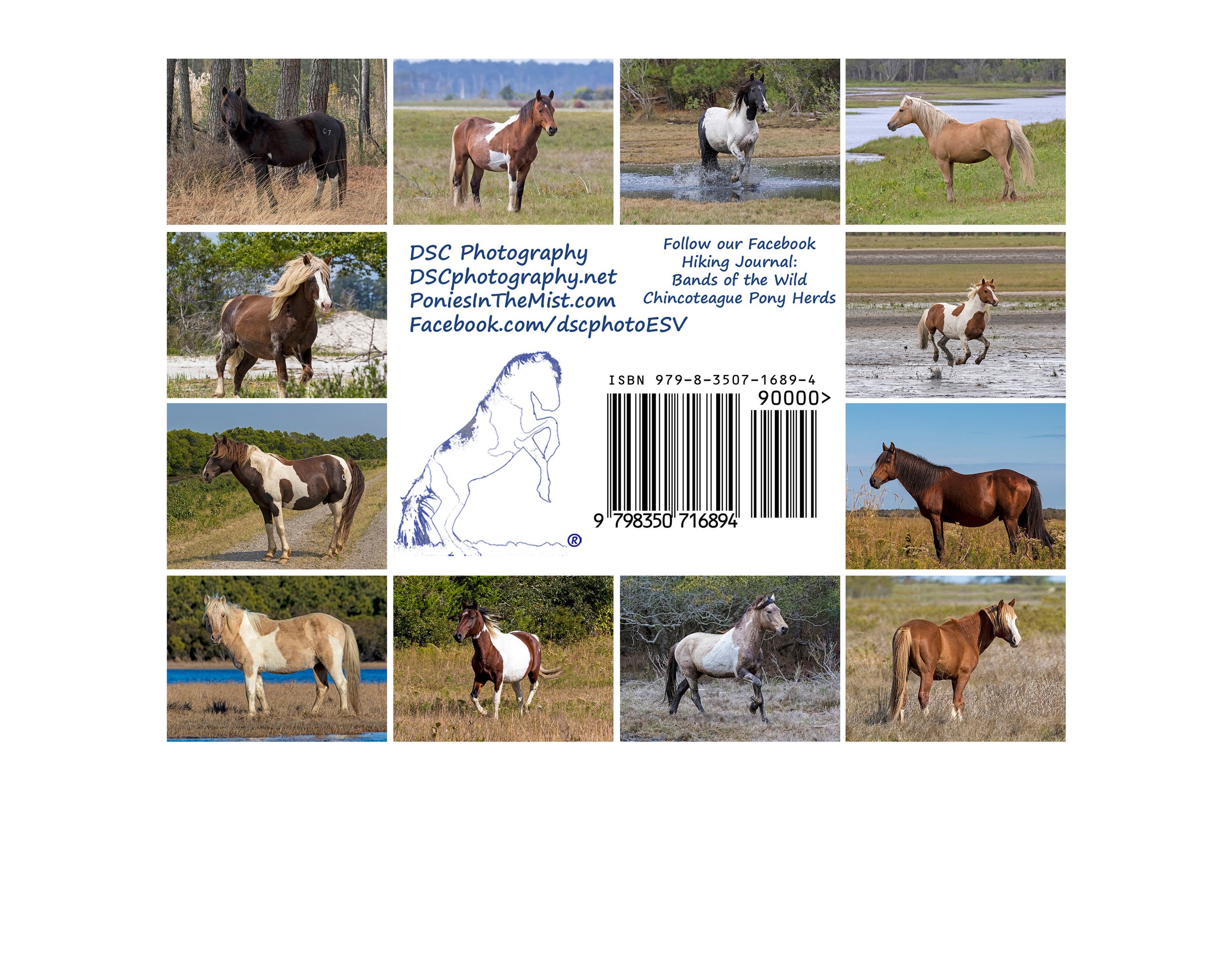 2025 Calendar Stallions of the Wild Chincoteague Pony Herds DSC